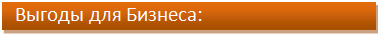 SD_business.PNG