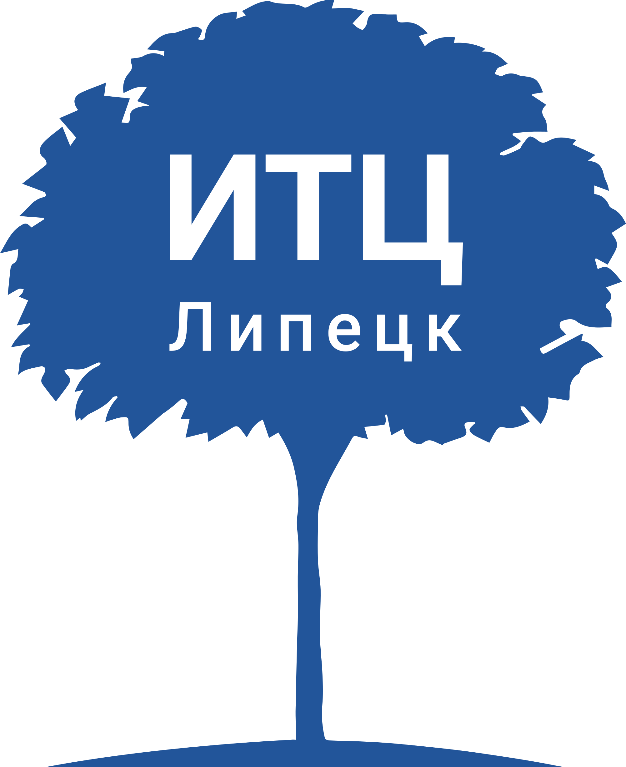 Администрация Липецкой области (ОБУ «Информационно-технический центр»)